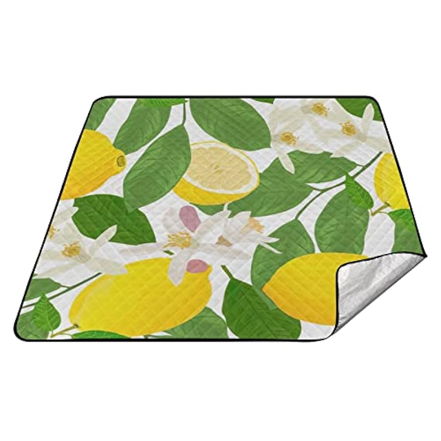 alta qualità Coperta da campeggio a prova di sabbia pieghevole per esterni Coperta a terra di frutta al limone ben vendita